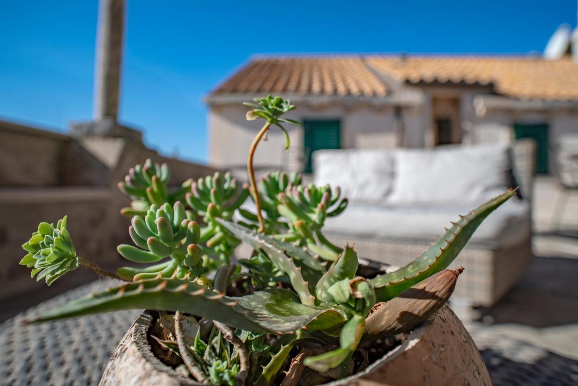 Villa Ragusa Vecchia Exteriér fotografie